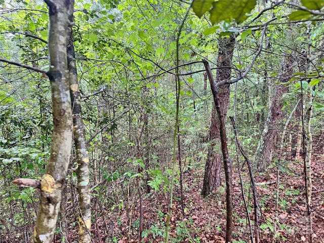 3680 Grandview Dr Unit 22, Morganton, NC 28655
