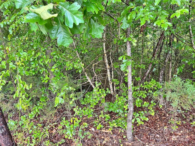 3680 Grandview Dr Unit 22, Morganton, NC 28655