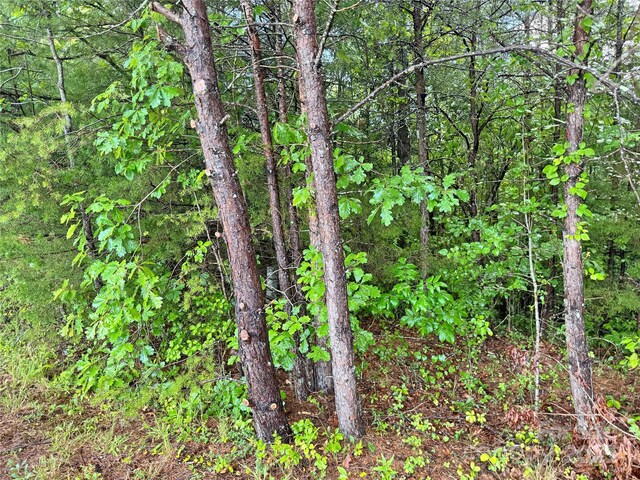 3680 Grandview Dr Unit 22, Morganton, NC 28655