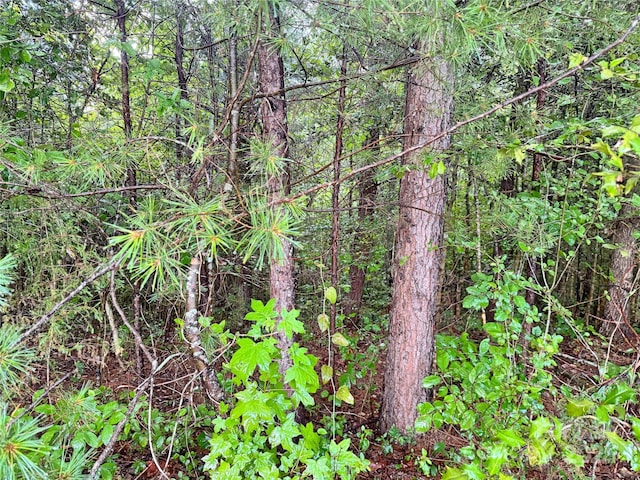 3680 Grandview Dr Unit 22, Morganton, NC 28655