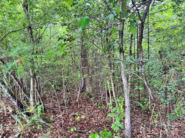 3680 Grandview Dr Unit 22, Morganton, NC 28655