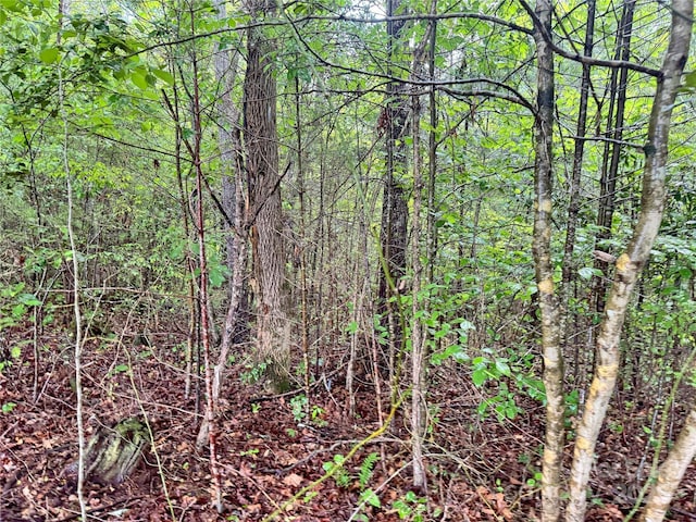 3680 Grandview Dr Unit 22, Morganton, NC 28655