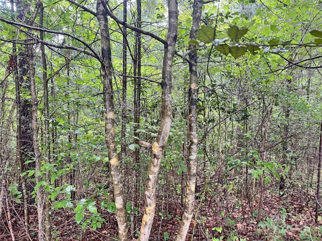 3680 Grandview Dr Unit 22, Morganton, NC 28655