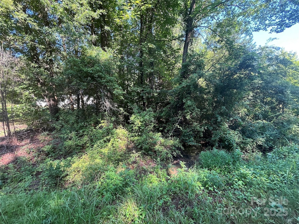 0 Webb Loop Rd, Mount Gilead, NC 27306 - photo 1