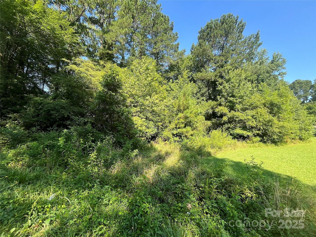 0 Webb Loop Rd, Mount Gilead, NC 27306 - photo 2