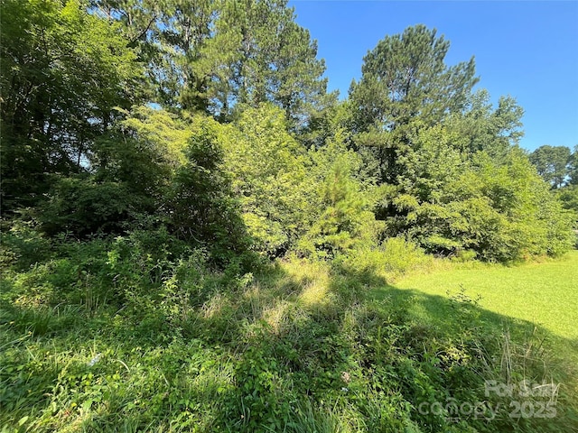 0 Webb Loop Rd, Mount Gilead, NC 27306 - photo 2
