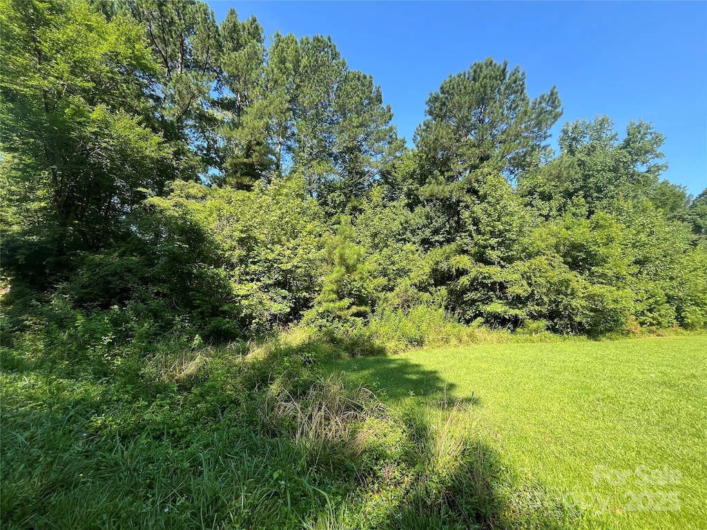 0 Webb Loop Rd, Mount Gilead, NC 27306 - photo 3