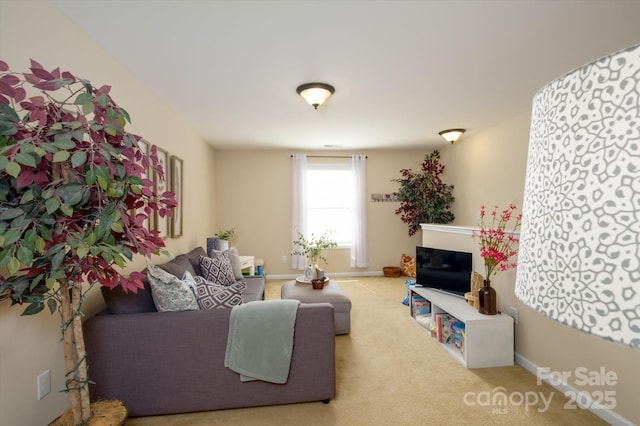 9122 Carneros Creek Rd Unit 25, Charlotte, NC 28214 - living area featuring carpet and baseboards