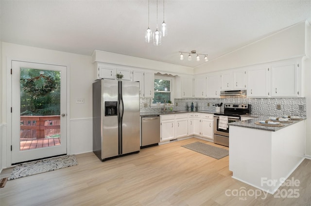 256 Timberland Loop, Mooresville, NC 28115 - kitchen featuring appliances with stainless steel finishes, under cabinet range hood, light wood-style floors, decorative backsplash, and white cabinetry
