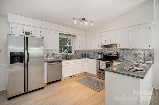 256 Timberland Loop, Mooresville, NC 28115 - kitchen with appliances with stainless steel finishes, under cabinet range hood, light wood-style flooring, white cabinets, and vaulted ceiling