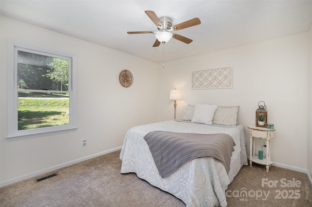 256 Timberland Loop, Mooresville, NC 28115 - bedroom with carpet floors and a ceiling fan
