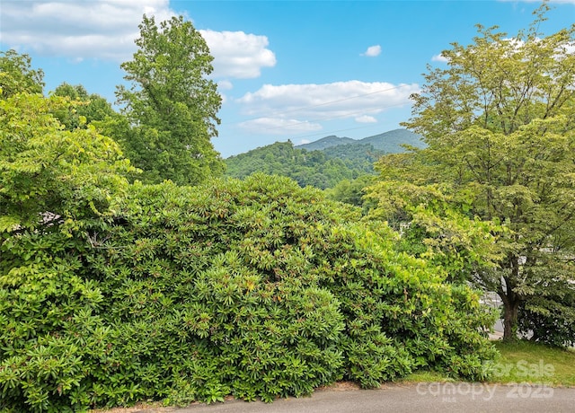 3575 Dellwood Rd, Waynesville, NC 28786 - view of mountain backdrop featuring a heavily wooded area