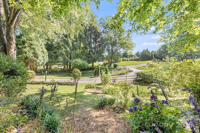19 Timbers Edge Ln, Fairview, NC 28730 - view of green lawn