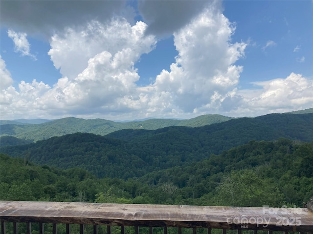 151 Scenic Wolf Dr, Mars Hill, NC 28754 - photo 2