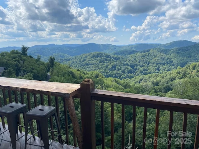 151 Scenic Wolf Dr, Mars Hill, NC 28754 - photo 30