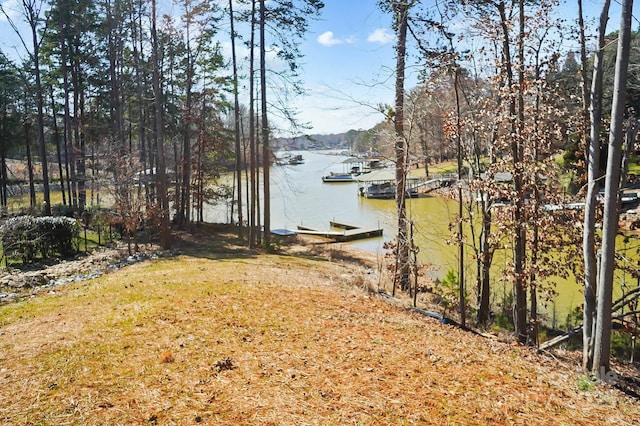 154 Fox Hunt Dr, Mooresville, NC 28117 - photo 47