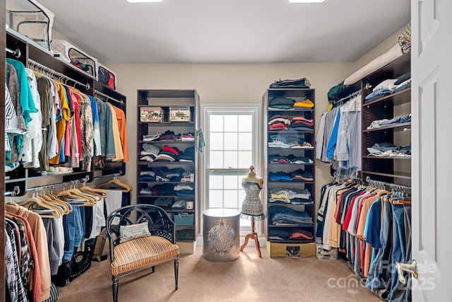 17018 Laurelmont Ct, Fort Mill, SC 29707 - photo 20