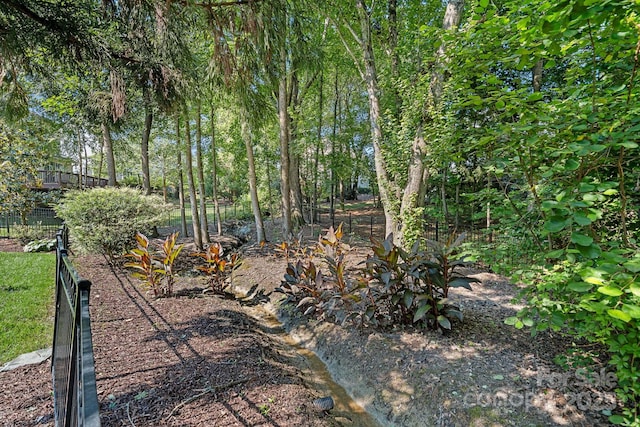 17018 Laurelmont Ct, Fort Mill, SC 29707 - photo 39