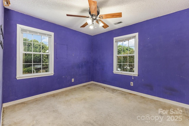 13446 Cassington Ct, Charlotte, NC 28273 - photo 31
