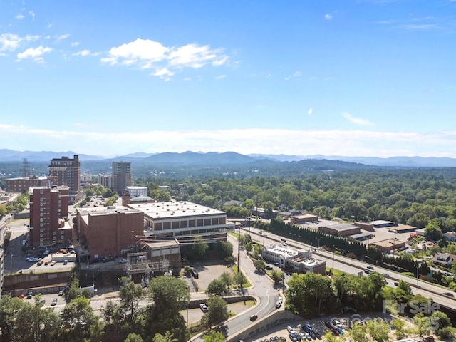37 Hiawassee St Unit W102, Asheville, NC 28801 - photo 20