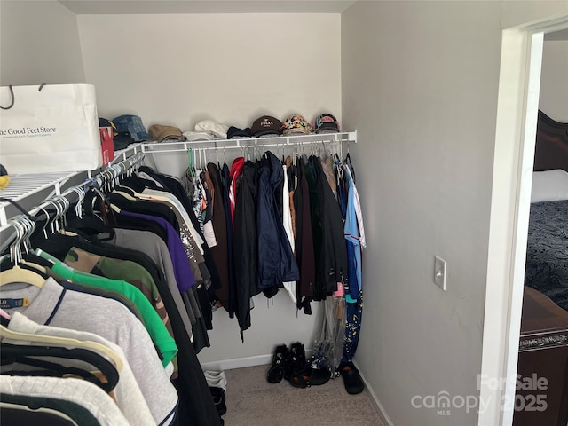 1076 Tangle Ridge Dr SE, Concord, NC 28025 - walk in closet featuring carpet floors