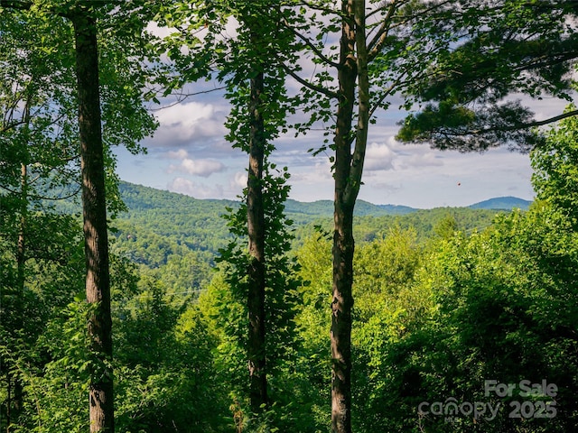 935 Whites Lake Blvd, Saluda, NC 28773 - view of mountain backdrop featuring a heavily wooded area