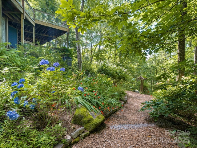 935 Whites Lake Blvd, Saluda, NC 28773 - view of yard with a wooden deck