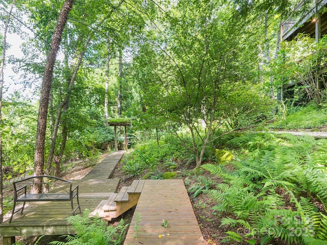 935 Whites Lake Blvd, Saluda, NC 28773 - view of yard featuring a deck