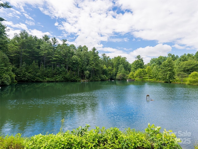 935 Whites Lake Blvd, Saluda, NC 28773 - water view with a heavily wooded area
