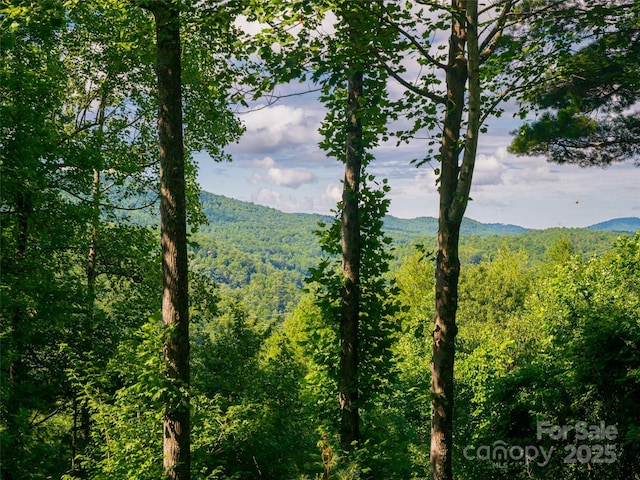 935 Whites Lake Blvd, Saluda, NC 28773 - mountain view with a forest