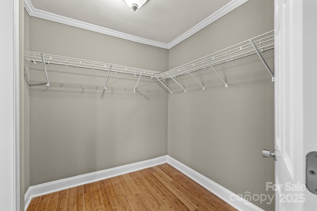 6441 Wilson Grove Rd, Mint Hill, NC 28227 - photo 17