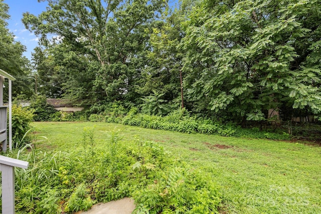 6441 Wilson Grove Rd, Mint Hill, NC 28227 - photo 33