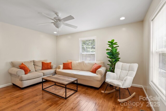 212 Portmanvilla Rd, Black Mountain, NC 28711 - photo 19