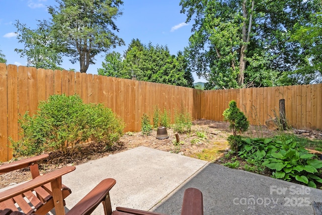 212 Portmanvilla Rd, Black Mountain, NC 28711 - photo 46