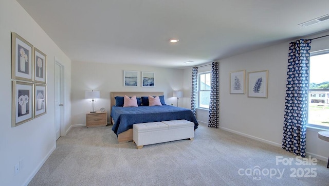 12 Wildbrook Dr, Waynesville, NC 28785 - bedroom featuring light carpet and recessed lighting