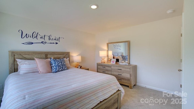 12 Wildbrook Dr, Waynesville, NC 28785 - bedroom featuring light carpet and baseboards