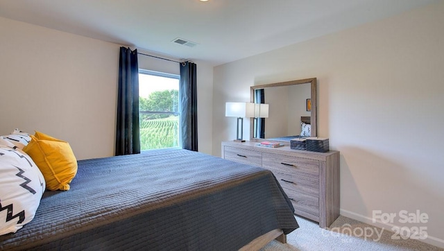 12 Wildbrook Dr, Waynesville, NC 28785 - bedroom with light colored carpet and baseboards