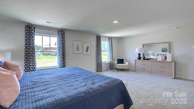 12 Wildbrook Dr, Waynesville, NC 28785 - bedroom featuring baseboards and light carpet