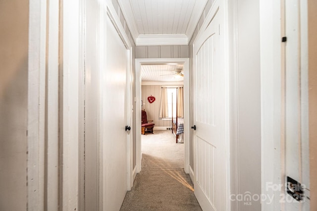 2035 Kool Park Rd NE, Hickory, NC 28601 - hallway with carpet flooring and ornamental molding
