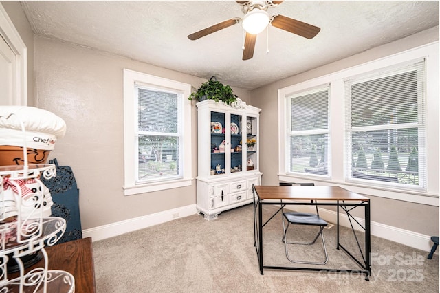 2035 Kool Park Rd NE, Hickory, NC 28601 - office with light carpet, a textured ceiling, plenty of natural light, and a ceiling fan