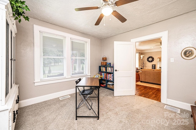 2035 Kool Park Rd NE, Hickory, NC 28601 - carpeted office space featuring ceiling fan and a textured ceiling