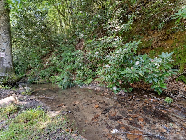 784 Carson Creek Rd, Brevard, NC 28712 - photo 26