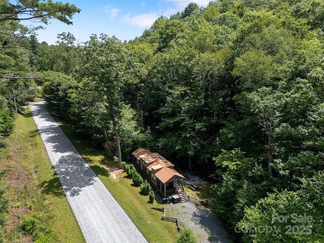 784 Carson Creek Rd, Brevard, NC 28712 - photo 33