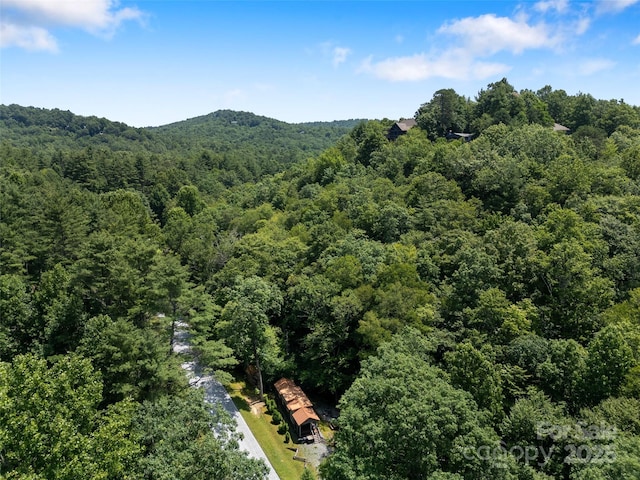 784 Carson Creek Rd, Brevard, NC 28712 - photo 34
