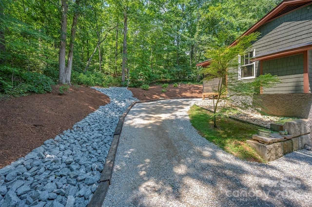 85 Red Bird Rd, Tryon, NC 28782 - view of yard featuring driveway and a forest view