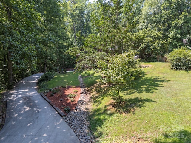 85 Red Bird Rd, Tryon, NC 28782 - view of green lawn with a forest view