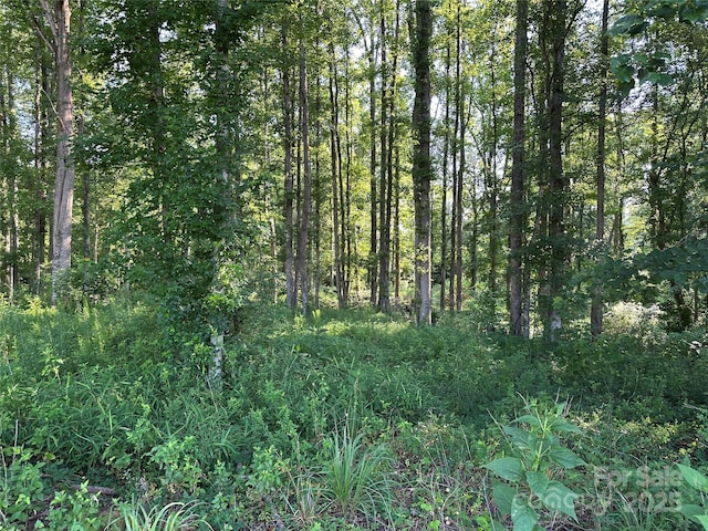 00 Beaver Dam Church Rd, Shelby, NC 28152
