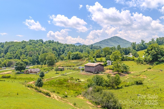 19 New Liberty Rd, Leicester, NC 28748 - photo 3