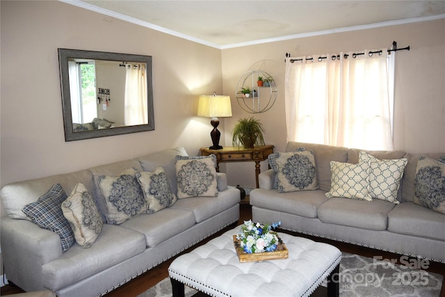 225 Emmett St, Rock Hill, SC 29730 - living area with crown molding and wood finished floors