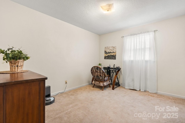100 Pinecrest Ct, Taylorsville, NC 28681 - sitting room featuring light carpet and a textured ceiling